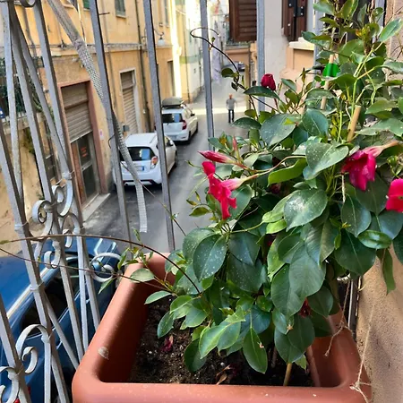 La Gentiana Apartment *